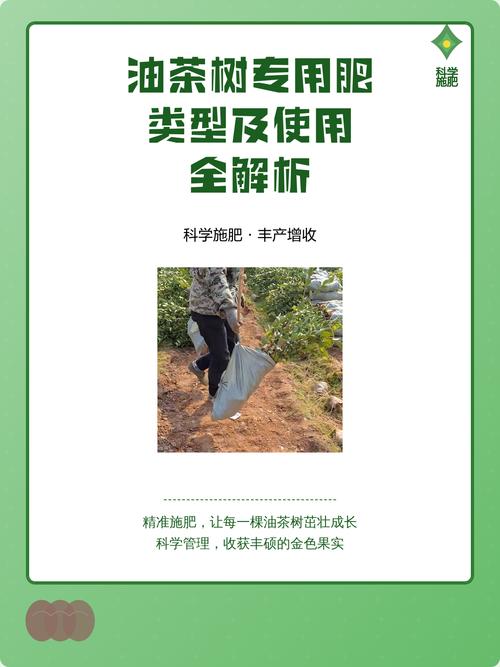 油茶专用肥多少钱?2024年最新价格参考与选购指南 常见问题 (FAQ)