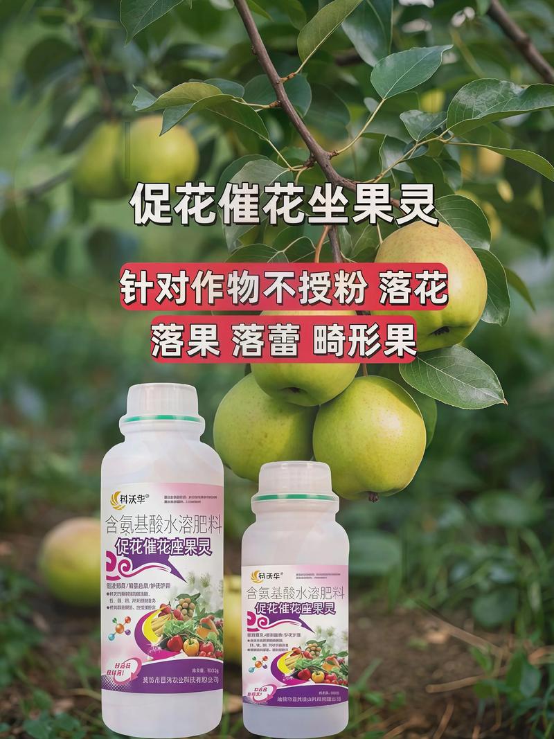 梨树花期施肥方案（具体时间与用量）