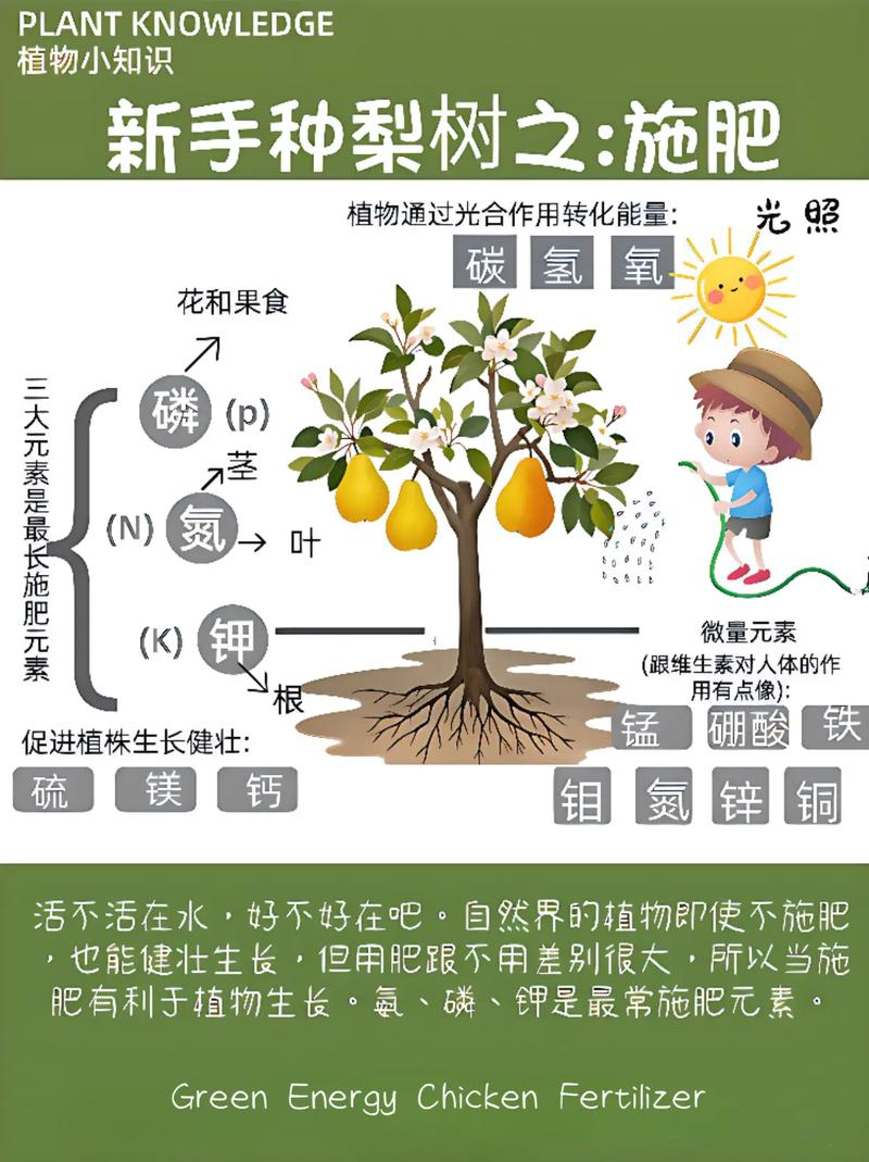 FAQ（常见问题）