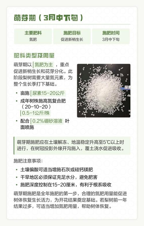 总结