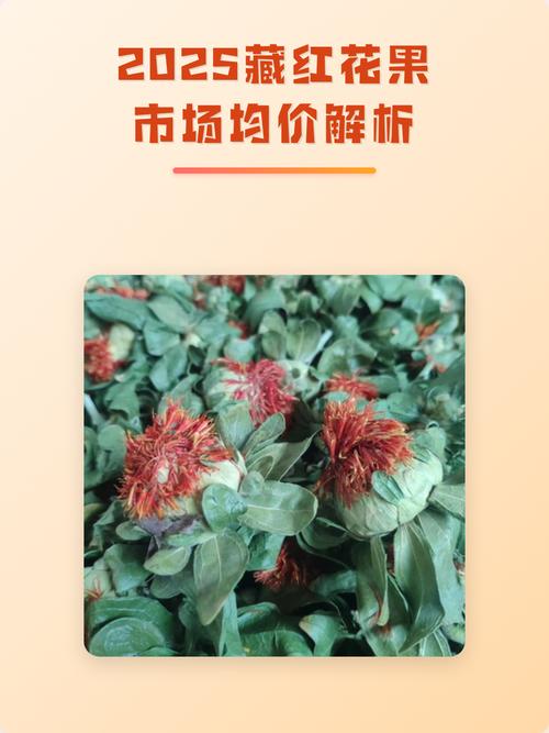 藏红花种子多少钱?2025年最新价格参考与影响因素全解析 咨询指南:如何获得最准确的报价?