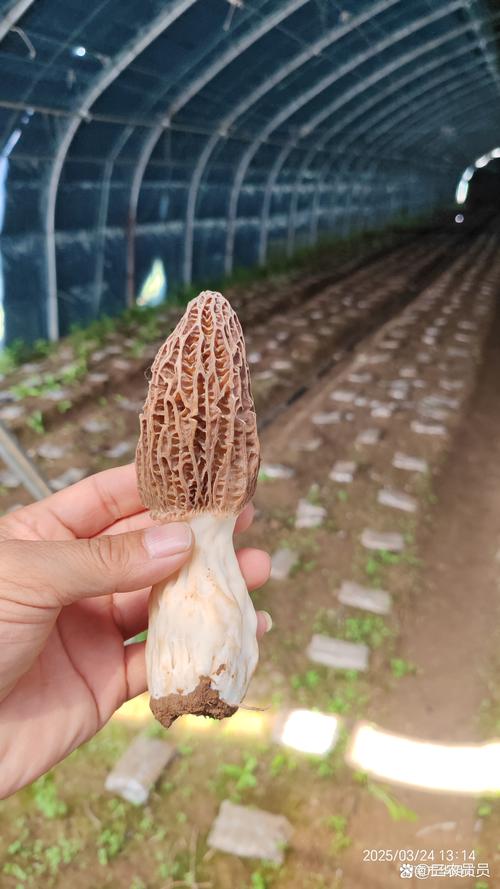 价格快速参考
