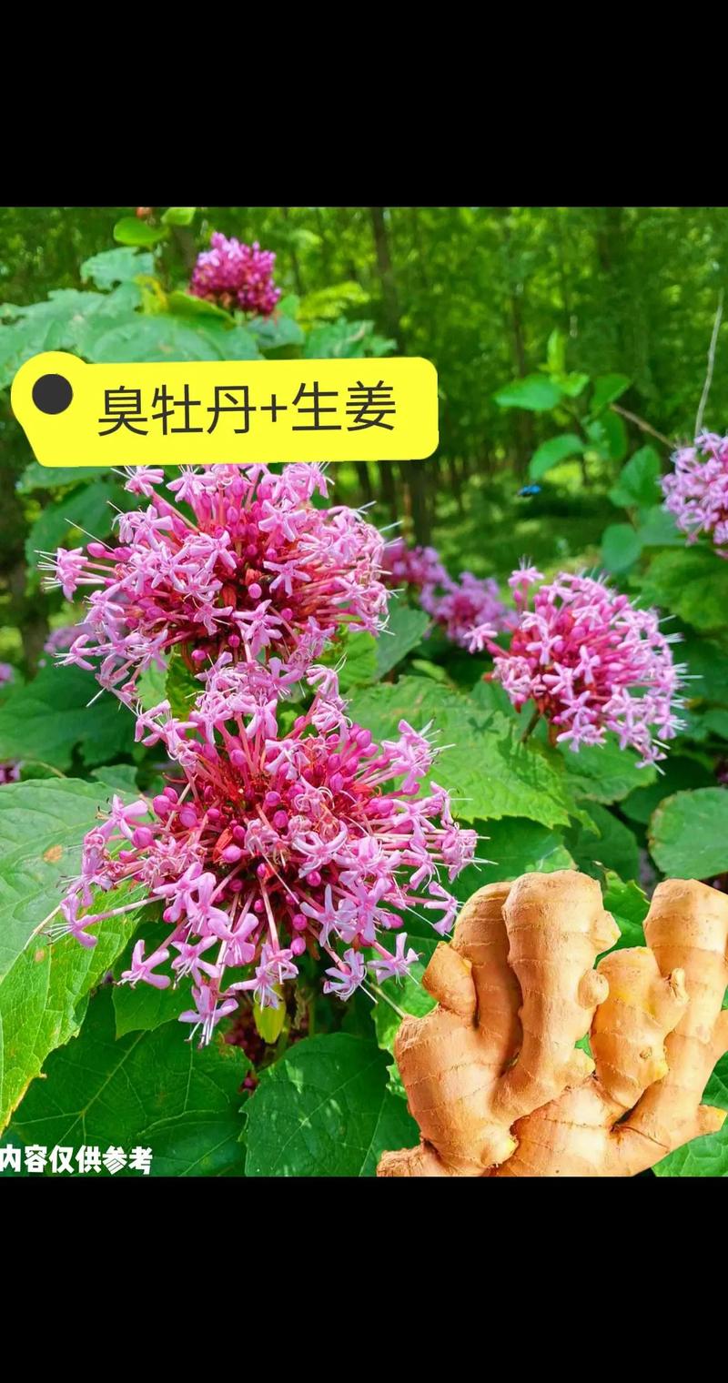 常见误区与纠正
