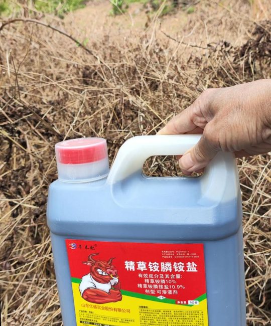旱稻种植安全指南：如何选择高效且低残留的除草剂