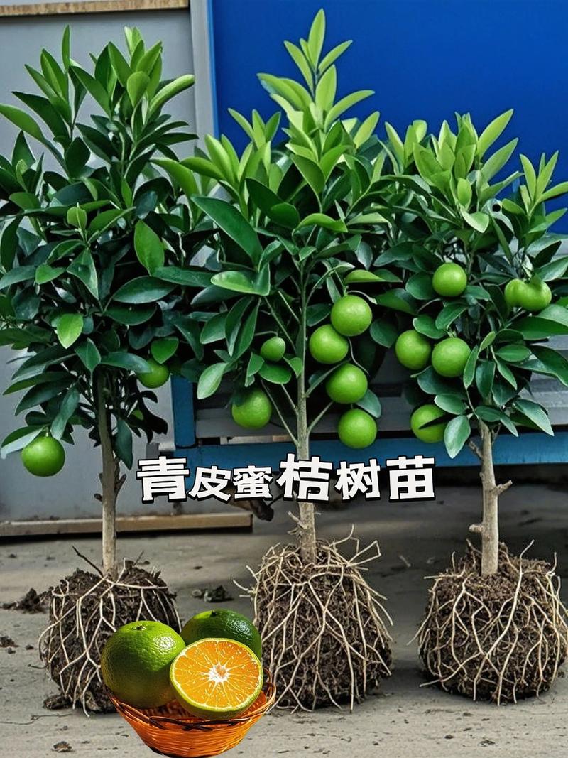 常见问题 FAQ