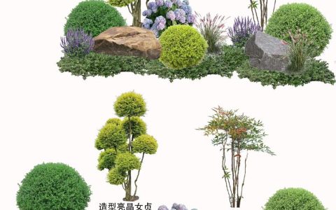 别墅庭院植物选择指南：科学搭配与养护全攻略