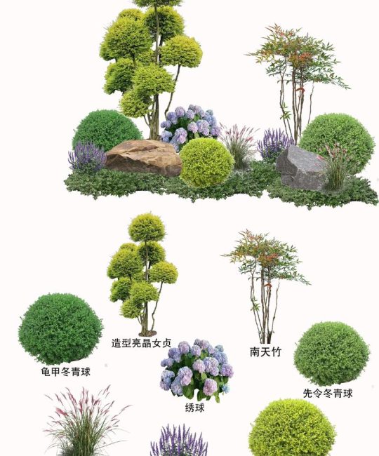 别墅庭院植物选择指南：科学搭配与养护全攻略