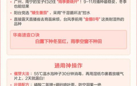 西红柿什么时候播种育苗？一份可执行的时间与技术指南