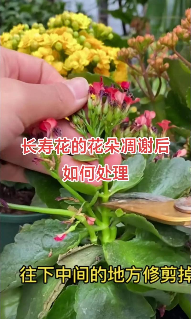 六、正常新陈代谢：不必过于担心