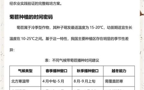 菊苣种子怎么播种？手把手教你从选时到出苗的全流程操作指南