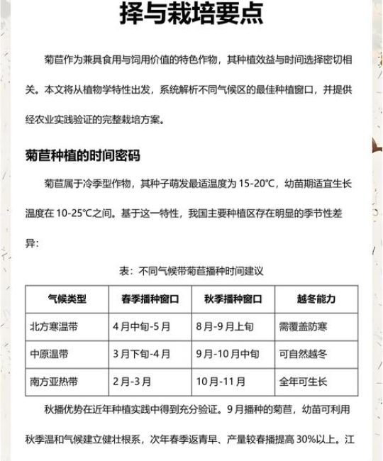 菊苣种子怎么播种？手把手教你从选时到出苗的全流程操作指南