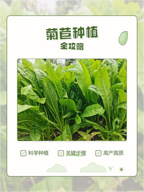四、播种深度