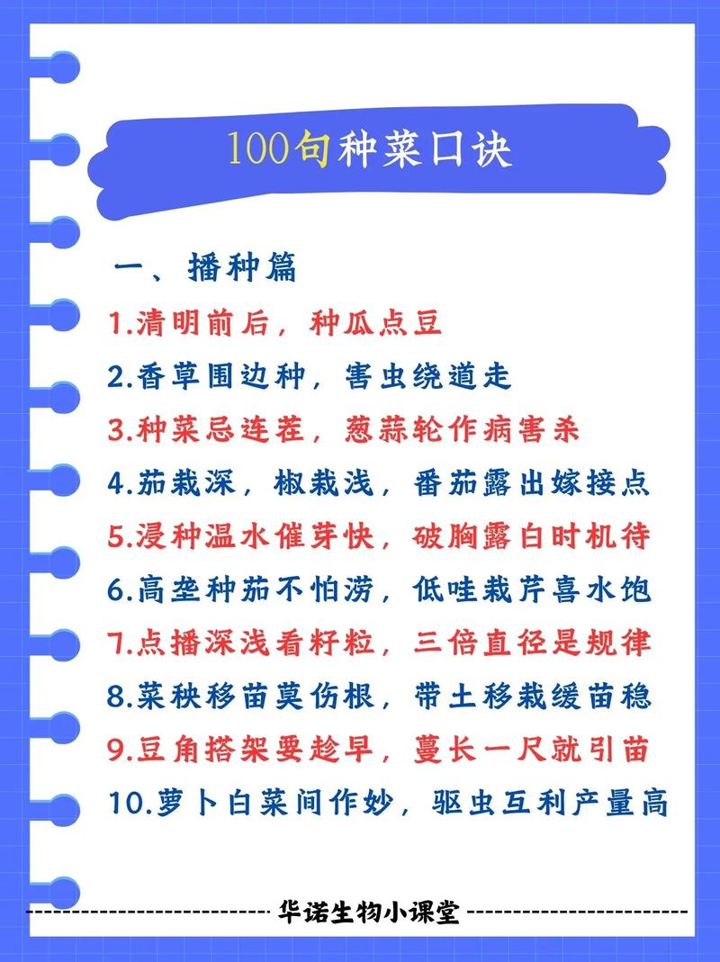 六、出苗期管理
