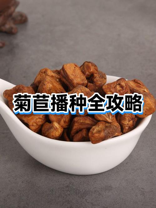 七、成活与常见问题