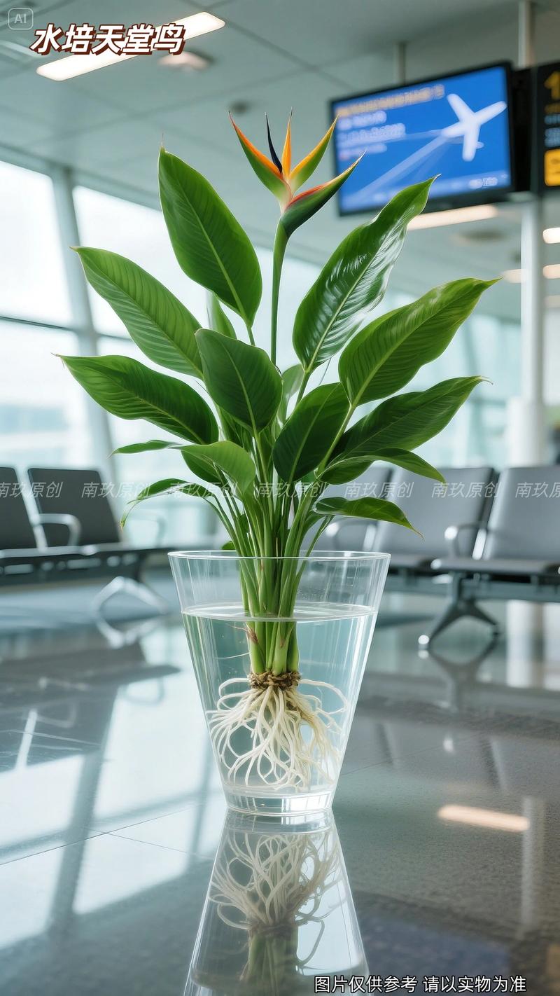数量：批发单价远低于零售