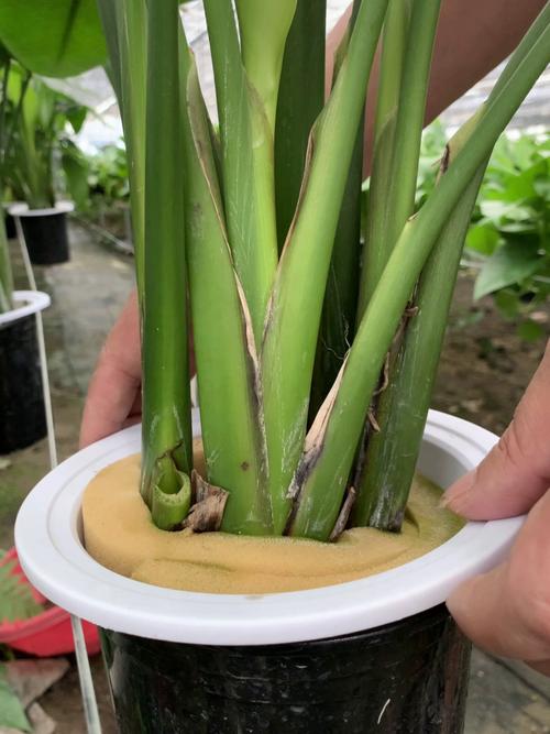 不同规格与场景价格总览