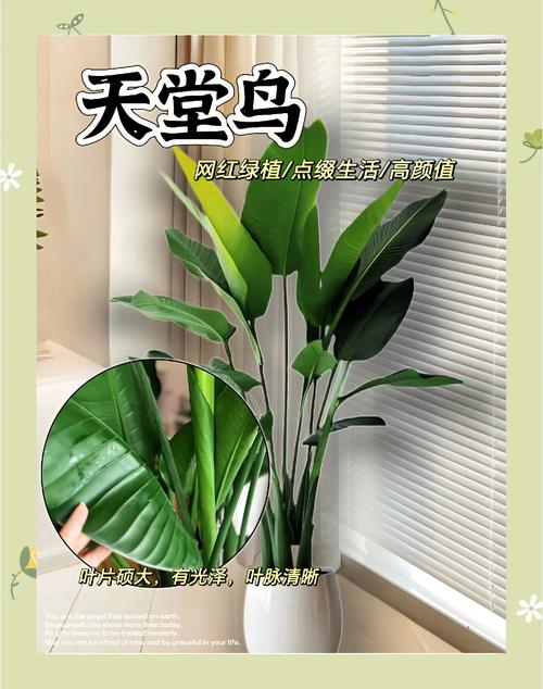 咨询指南