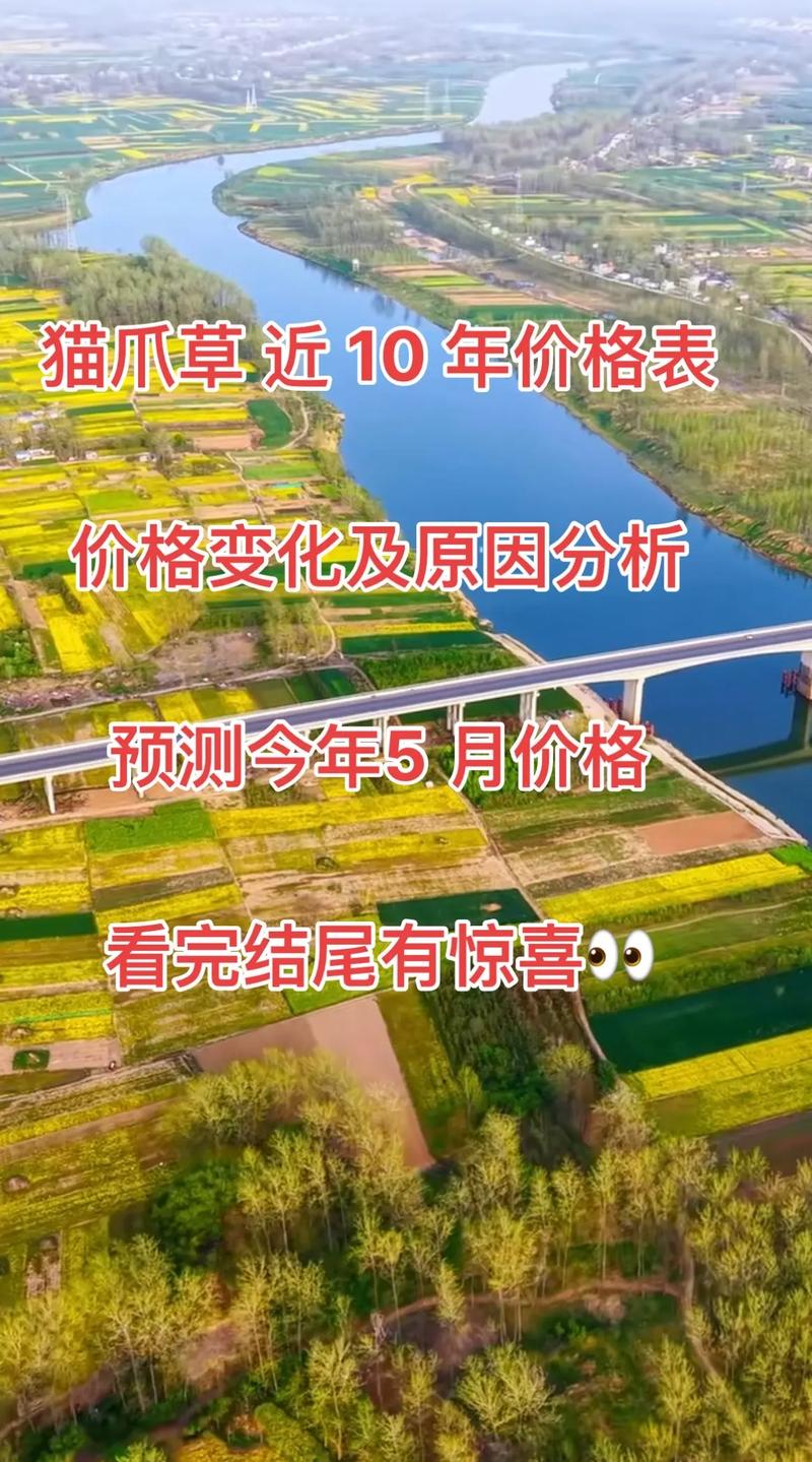 猫爪草一般多少钱一斤?2025年最新价格参考与5大影响因素解析 影响因素五:运输成本占总价10%~30%
