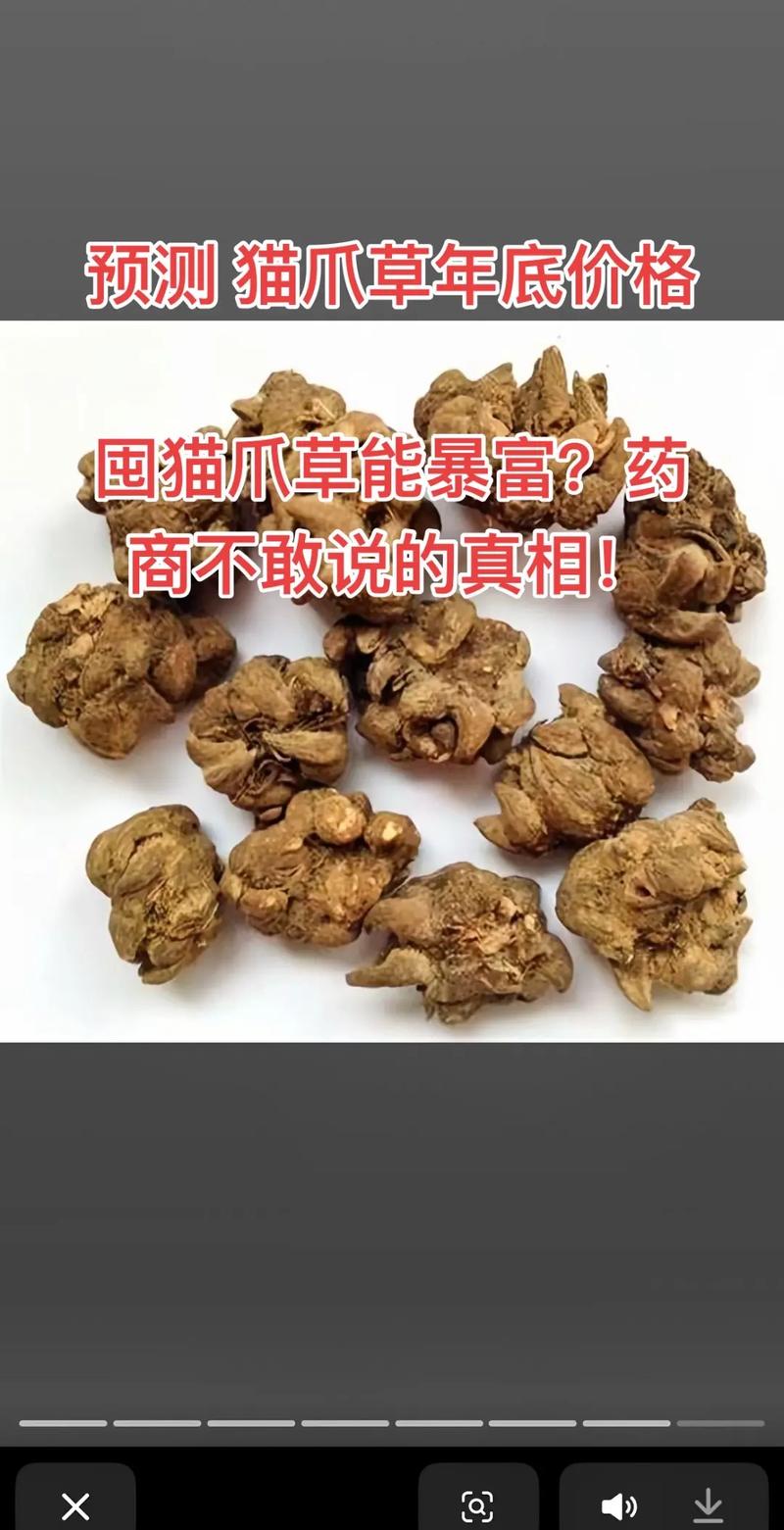 猫爪草一般多少钱一斤?2025年最新价格参考与5大影响因素解析 常见问题(FAQ)