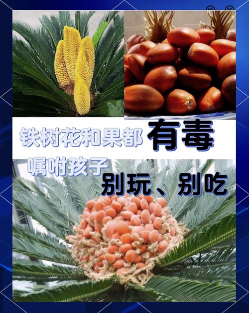 总结