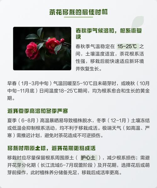 茶花移盆最佳季节全攻略:春季与秋季的详细操作指南 总结