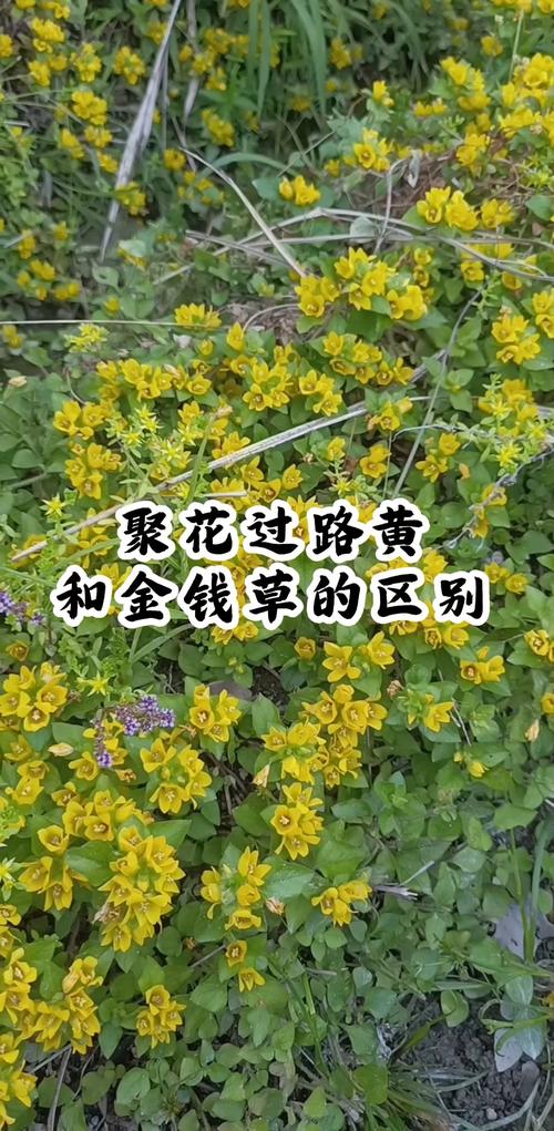 结语
