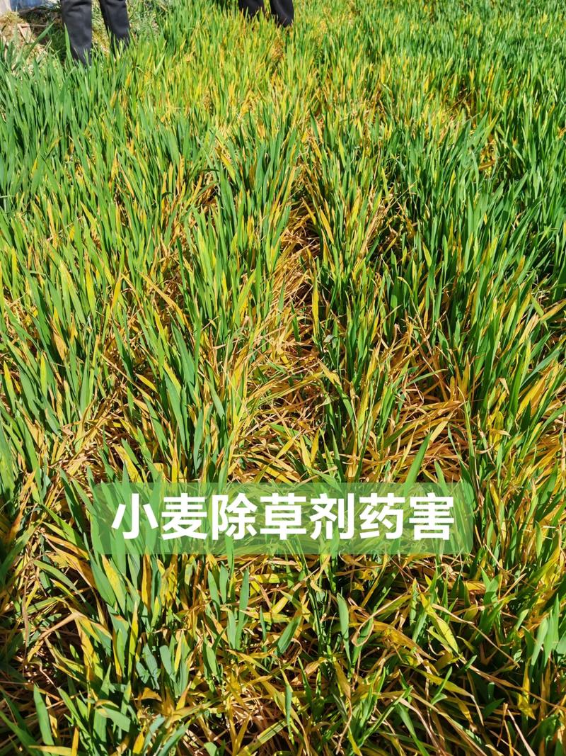 一、中毒途径与对应症状