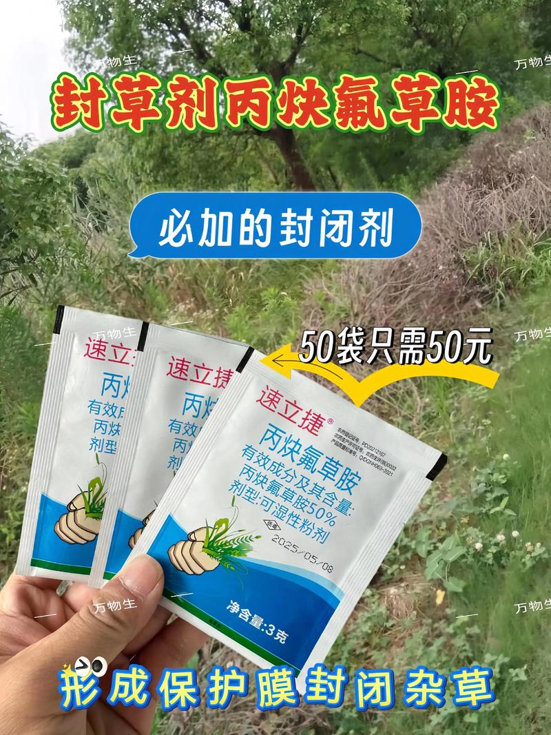 四、预防是根本：园艺工作中的安全守则