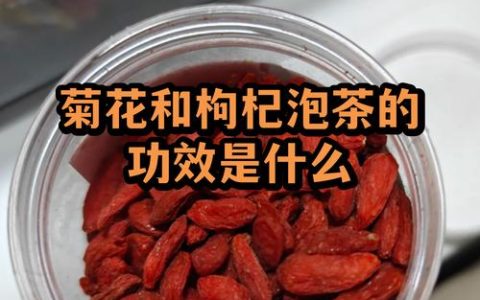 菊花加枸杞喝了有什么好处？一文读懂这对经典养生组合的食用与安全须知