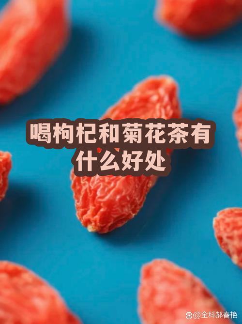 菊花加枸杞喝了有什么好处?一文读懂这对经典养生组合的食用与安全须知 安全性须知:哪些人需要谨慎饮用?
