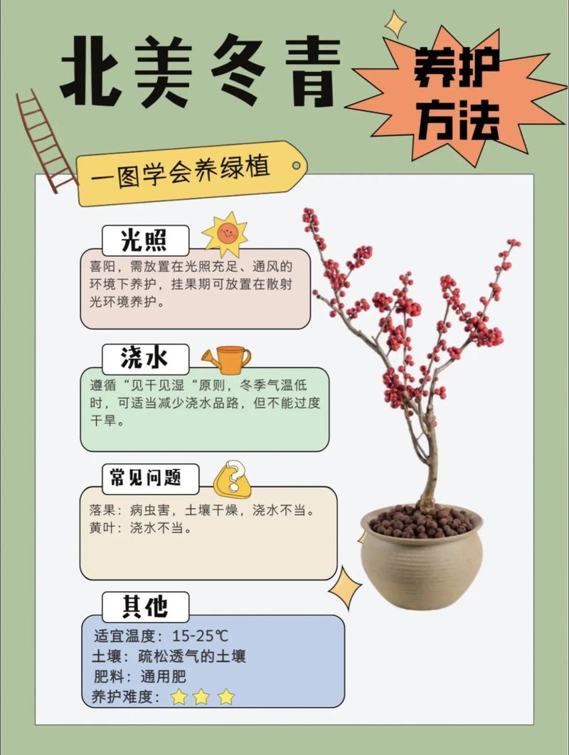 五、浇定根水：边栽边浇，一次浇透