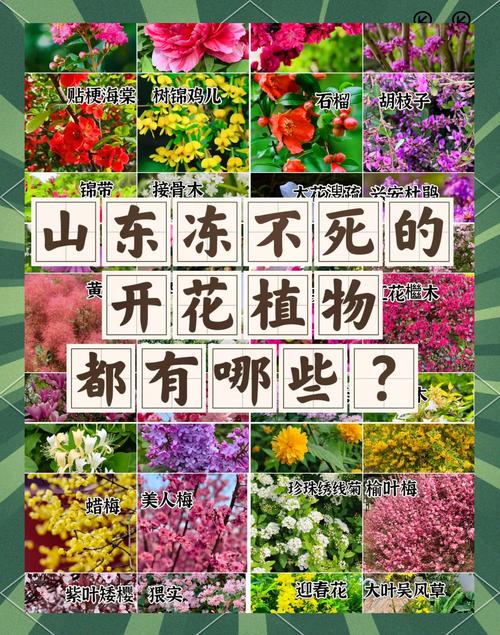 七、越冬注意事项（南北差异）
