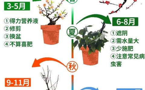 红梅 vs 莲花：从植物学角度的一次彻头彻尾的对比
