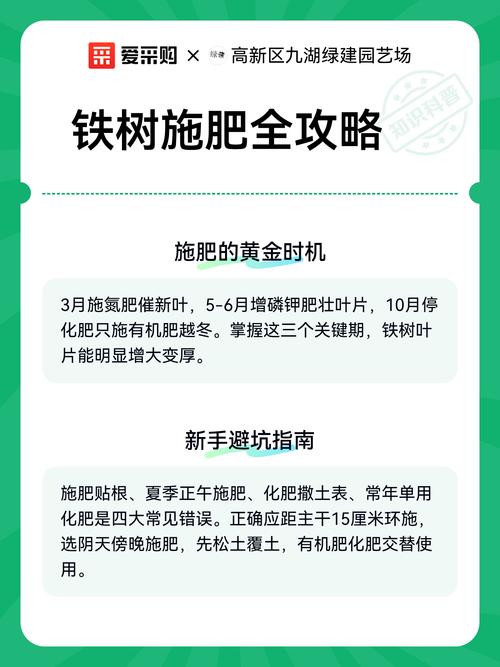 换盆/田间管理：定期换盆，是铁树持续生长的根本