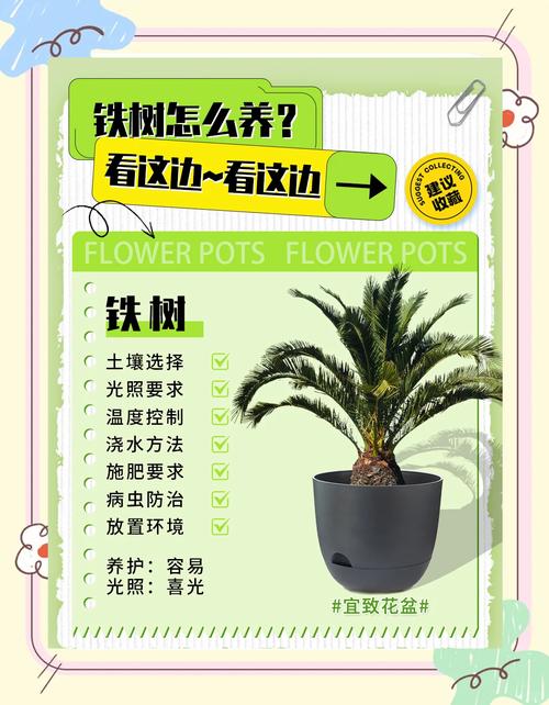 修剪：剪除老叶，是促进新叶萌发的有效手段
