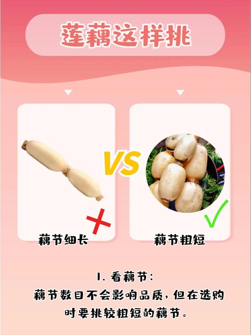 场景化选择建议