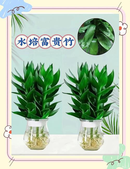 五、总结