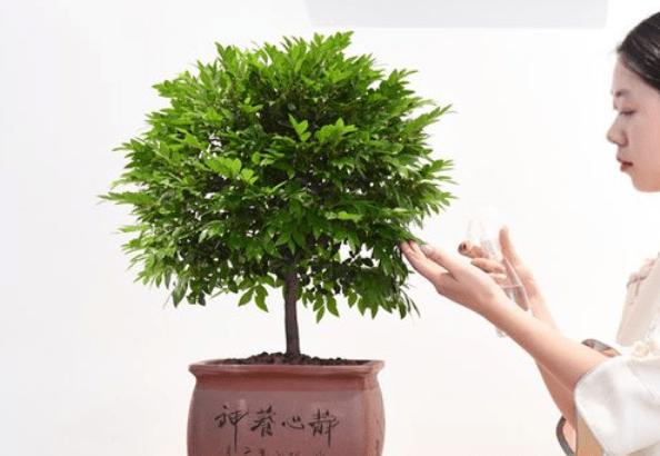 一、规格：高度与地径决定基础价