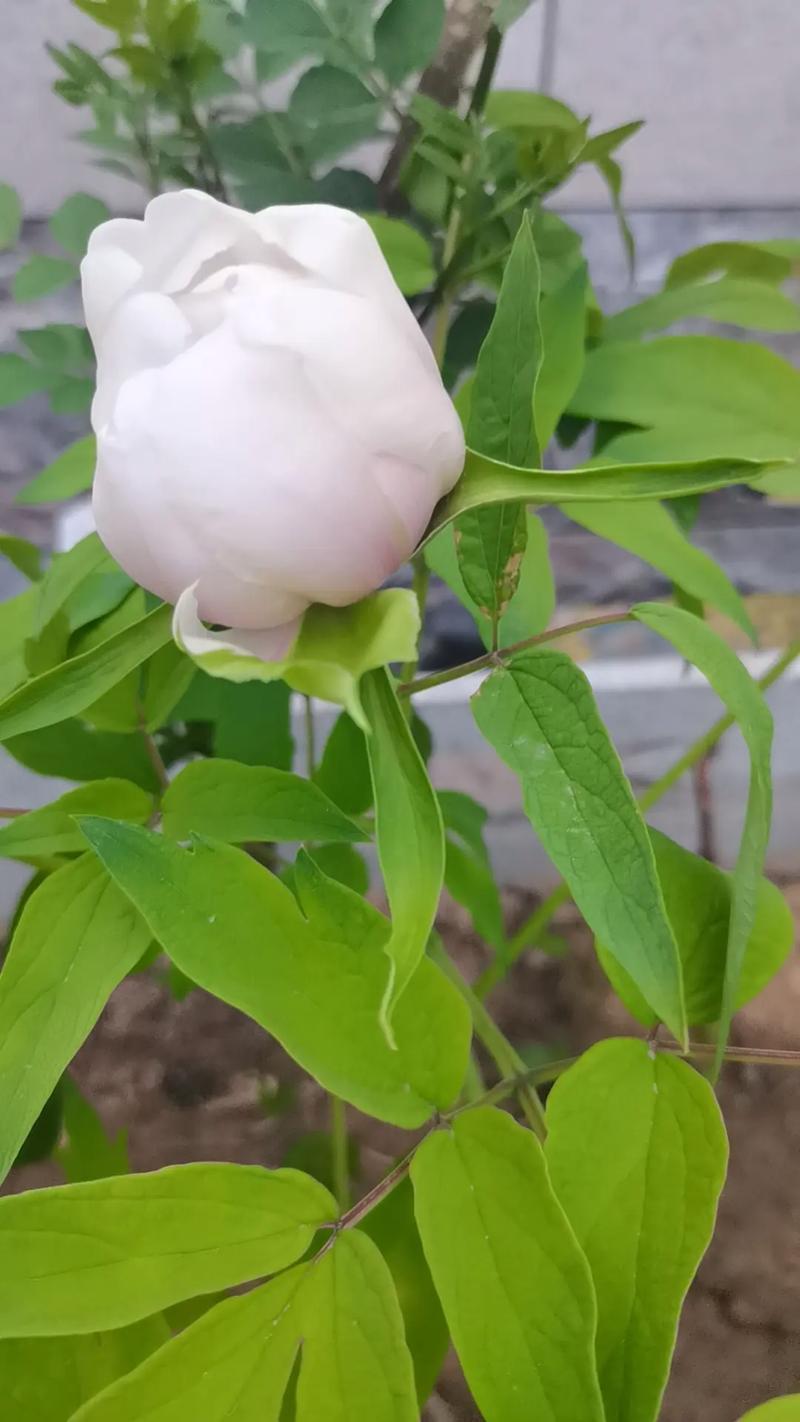 总结：三个核心动作