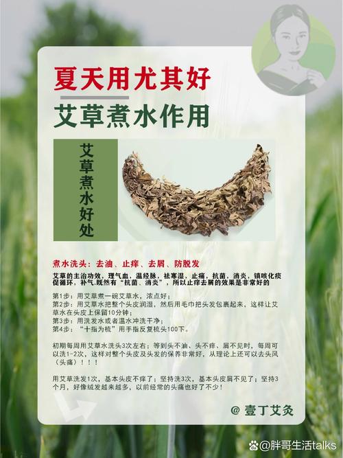 二、艾草+石菖蒲泡澡：传统用法与辅助作用