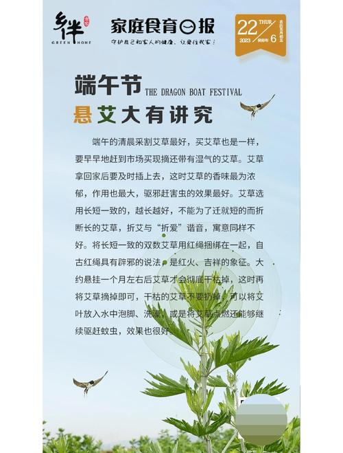 三、安全性声明：必须知道的要点