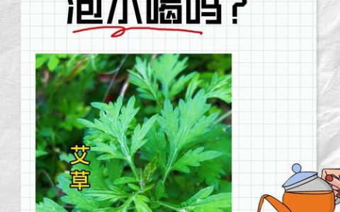 艾草配石菖蒲泡澡：传统养生常识与安全须知
