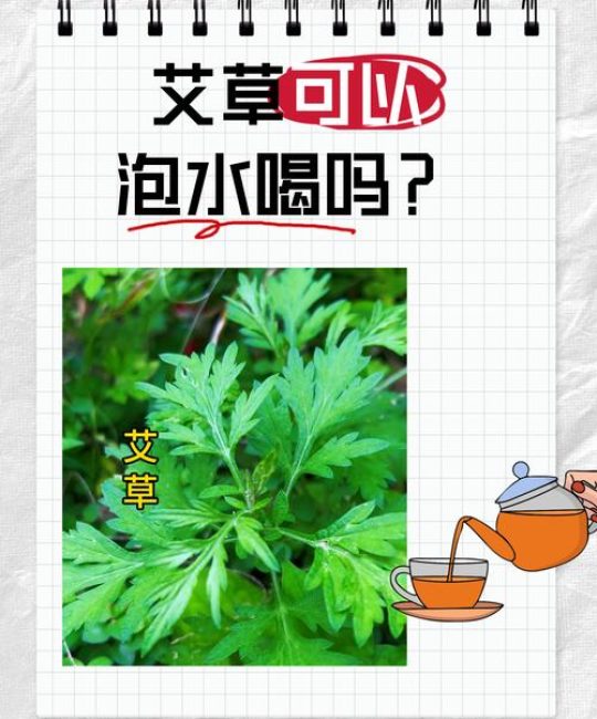 艾草配石菖蒲泡澡：传统养生常识与安全须知