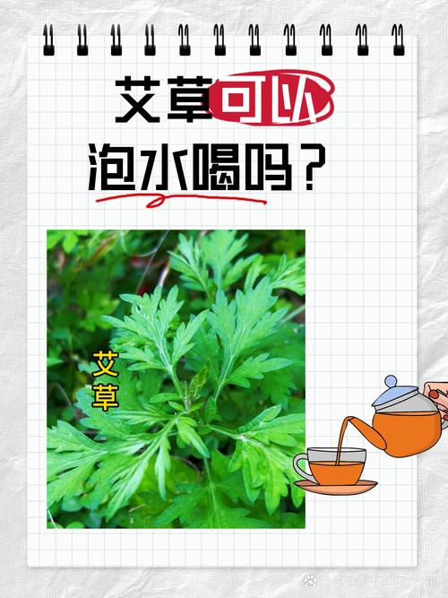 一、认识两位主角：艾草与石菖蒲