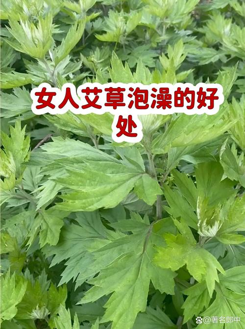 常见误区与纠正