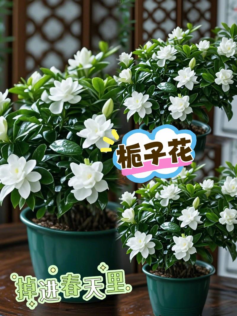 栀子花真的有提神醒脑作用吗?——从食用、药用到安全性的全面科普 栀子花真的有提神醒脑作用吗?——从食用、药用到安全性的全面科普