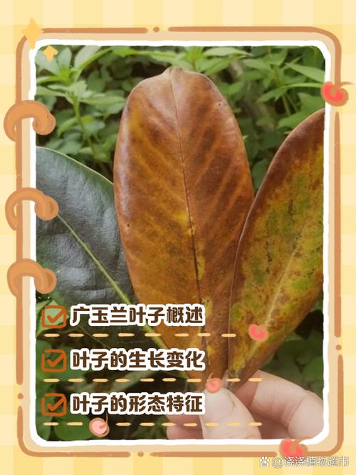 常见误区纠正