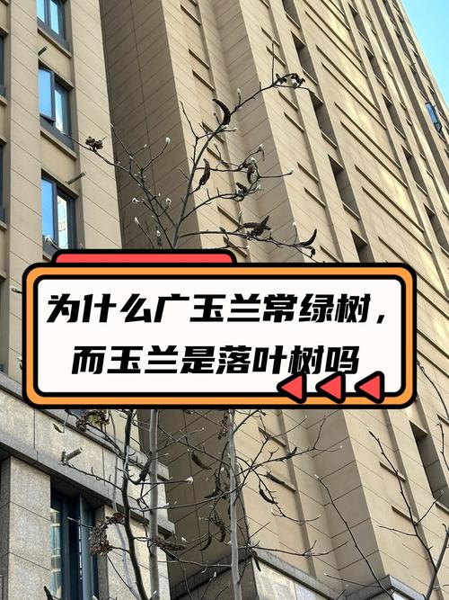 结论与地域适用性总结
