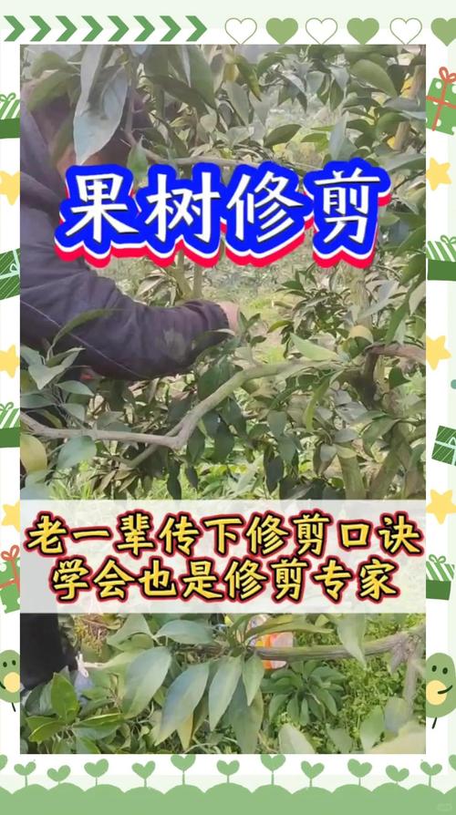 枣树主干可以锯掉,但必须满足树龄、季节和伤口处理三个条件 截干后的关键养护要点