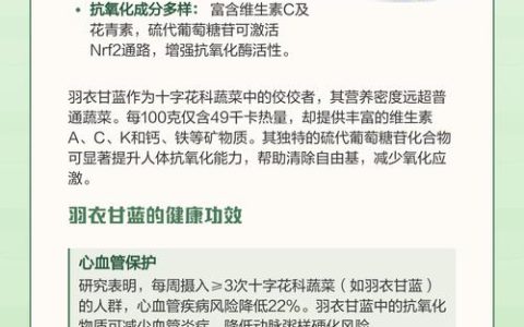 羽衣甘蓝加奇亚籽的功效与食用安全指南